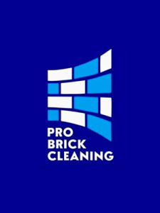 Pro Brick Cleaning