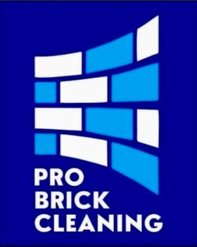 Pro Brick Cleaning